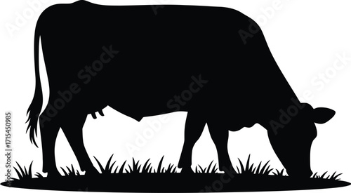 Black cow grazing on green grass silhouette