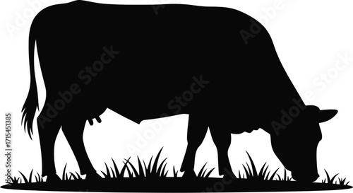 Black cow grazing green grass silhouette vector