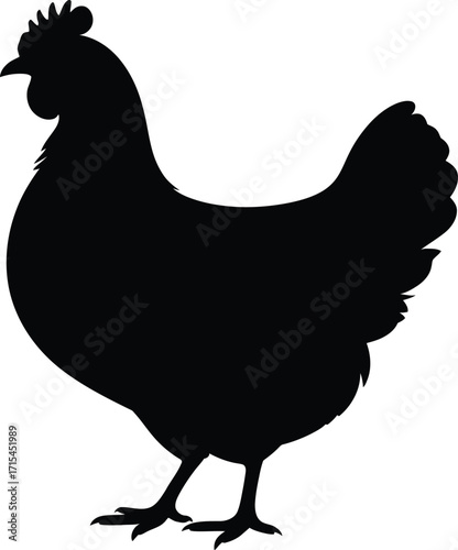 Black chicken silhouette poultry bird