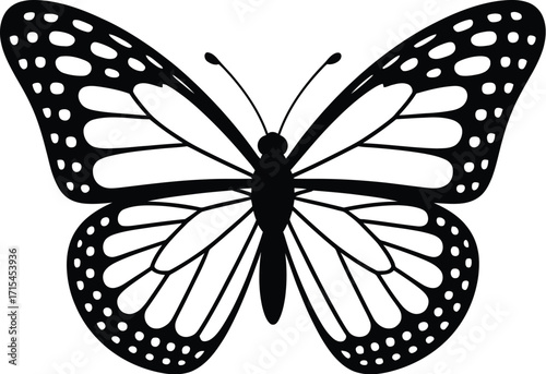 Black butterfly silhouette with white dots insect monarch