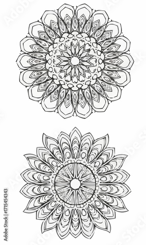 Elegant floral circle mandala designs vector
