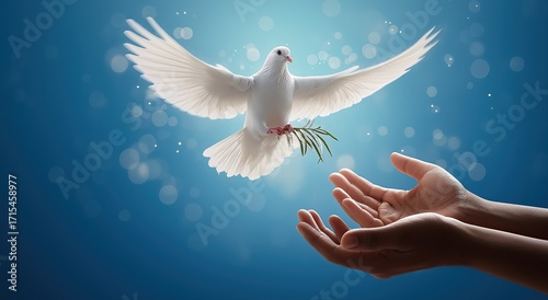 White dove flying out of a green olive branch held by two human hands over a blue background, symbolizing peace, freedom, hope, trust, love, unity, harmony, spirituality, and worldwide reconciliation.