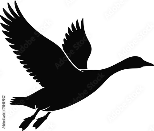 Black silhouette of a flying goose bird
