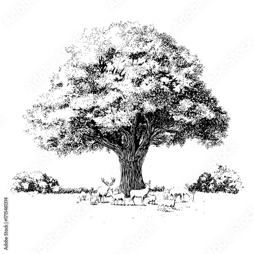 A detailed black and white drawing of a large tree with deer gathered beneath it in a grassy field scene