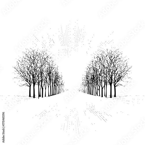 Avenue of bare trees in black and white with a perspective view and light rays emanating from the center