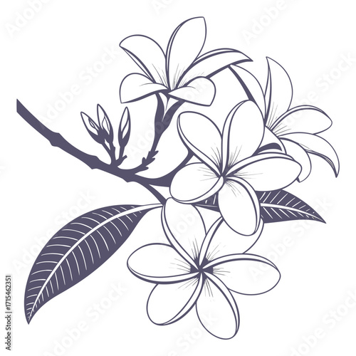 frangipani plumeria hawaiian foam