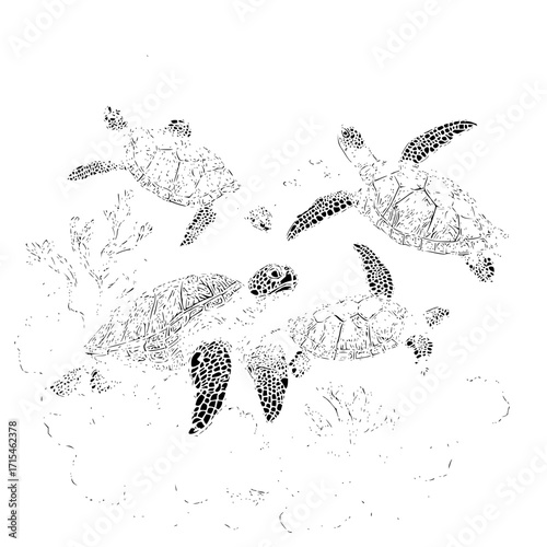 A monochrome illustration of multiple sea turtles swimming together near coral reefs in the ocean water