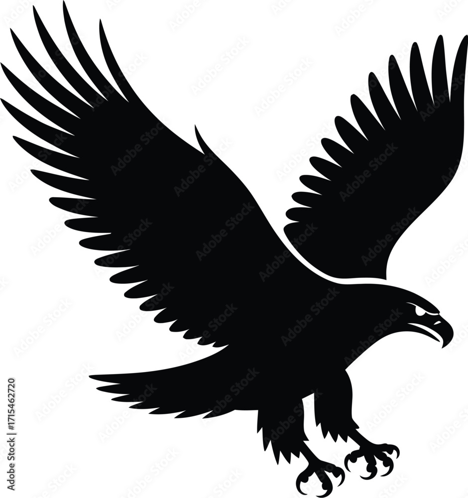 Obraz premium Black eagle in flight bird wings