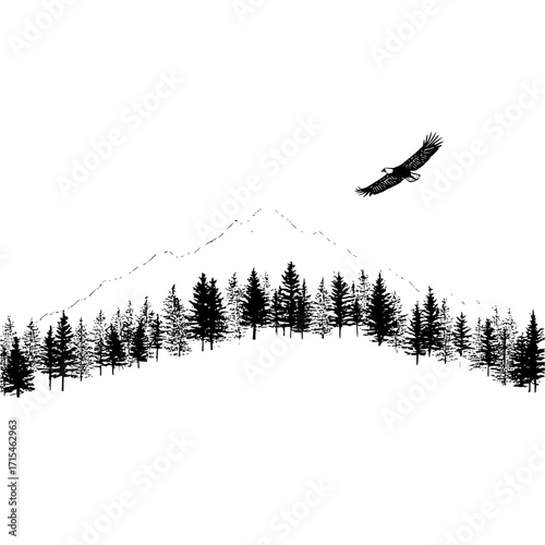 A monochrome landscape featuring a mountain range, a dense forest, and an eagle soaring in the sky above it