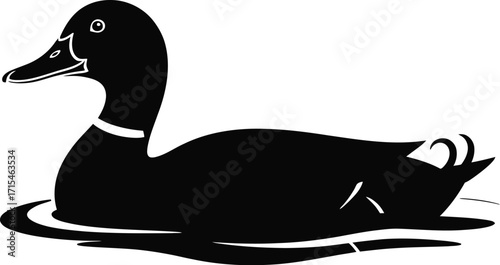 Black duck silhouette on water aquatic bird