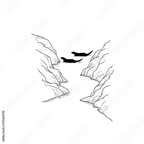 Two otters swimming in a river between rocky cliffs in a black and white line drawing style image
