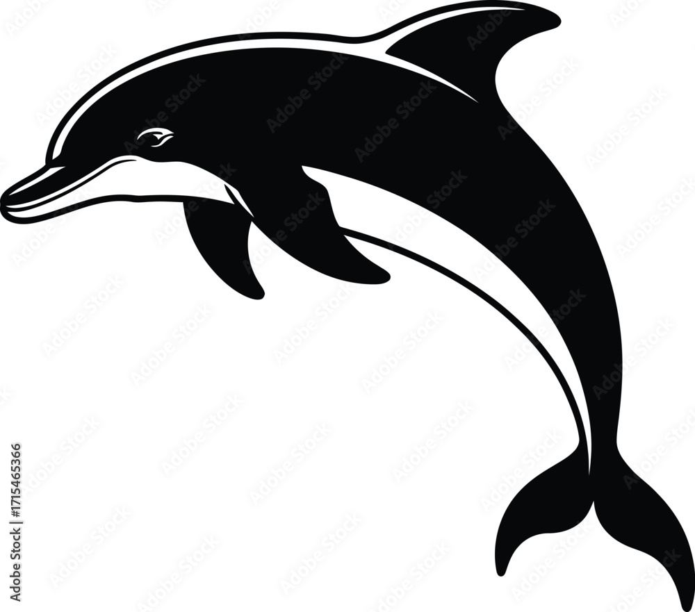 Obraz premium Black dolphin leaping gracefully white jumping