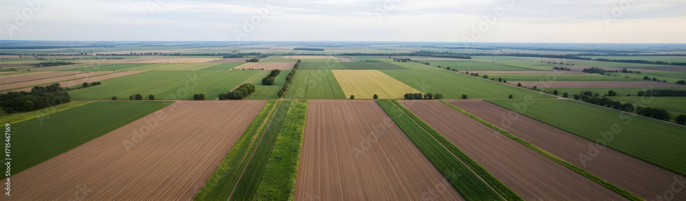 Fototapeta premium A Beautiful Aerial View of Fertile Agricultural Fields with Diverse Crops Showcasing Vibrant Green and Brown Tones Under the Overcast Sky