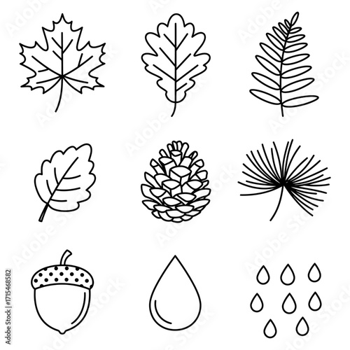 Autumnal Botanical Elements A Collection of Nature's Detailed Line Art Drawings for Design