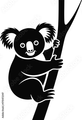 Black koala clinging to tree branch animal climbing