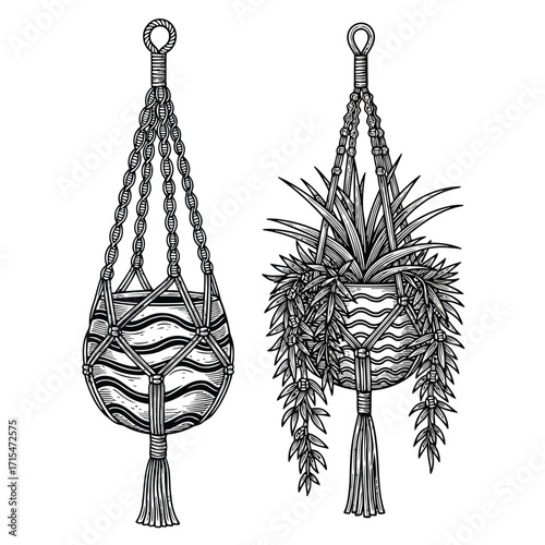 Vector art of two macrame plant hangers, one with a plant