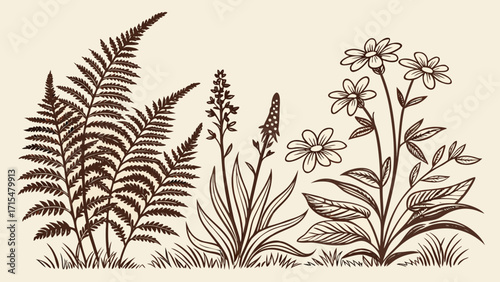 Hand drawn botanical illustration of wildflowers and ferns