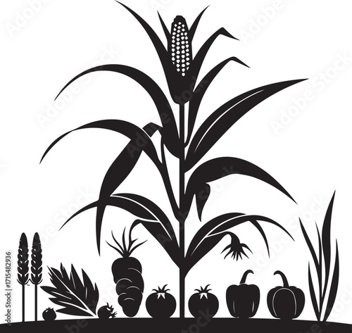 Tall corn growing vegetable stalks swaying gently in rural countryside
