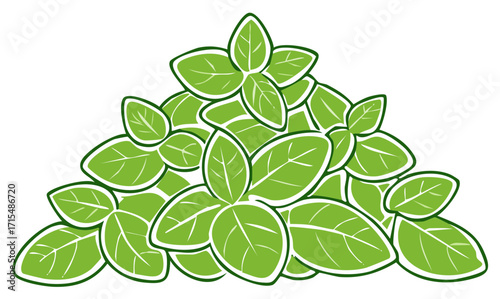 Fresh Basil Leaves Vector Illustration Pile of Green Herbs Ingredient Cuisine