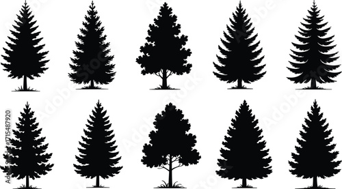 Tree silhouette collection, coniferous trees, deciduous shapes, foliage pattern, nature icon, black figures, forest design, landscape element, botanical variety, tree forms,
