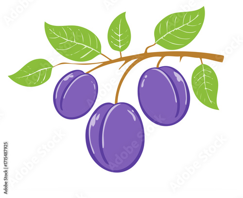 Illustration of purple plums with green leaves on a brown branch, nature concept.