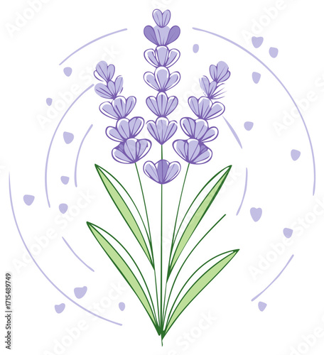 Illustration of lavender plant with leaves and hearts