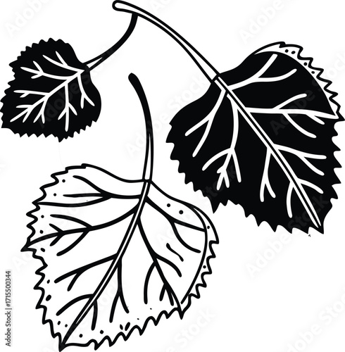Dried Leaf Adobe Illustrator Artwork