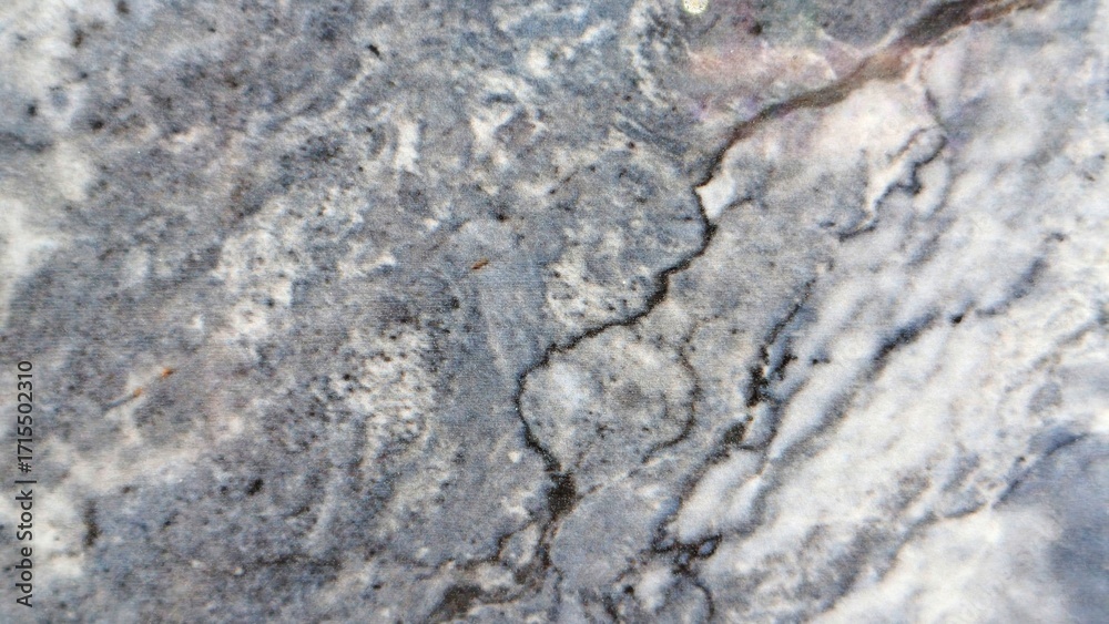 Fototapeta premium A close-up shot reveals a detailed, textured surface with a blend of white, gray, and dark veins, resembling natural stone or marble.