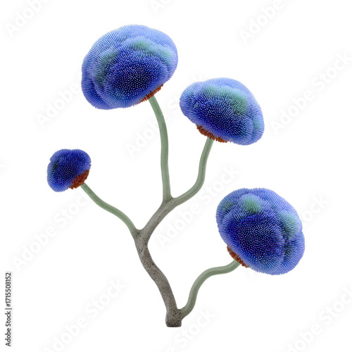 Four spherical blue fantastical organic growths on branching stems isolated on black