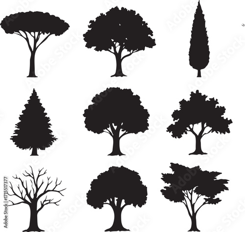 Collection of Tree Silhouettes Diverse Species and Forms in Black and White