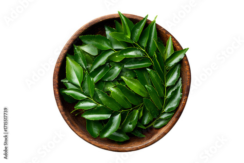 Fresh curry leaves in a wooden bowl isolated on transparent background