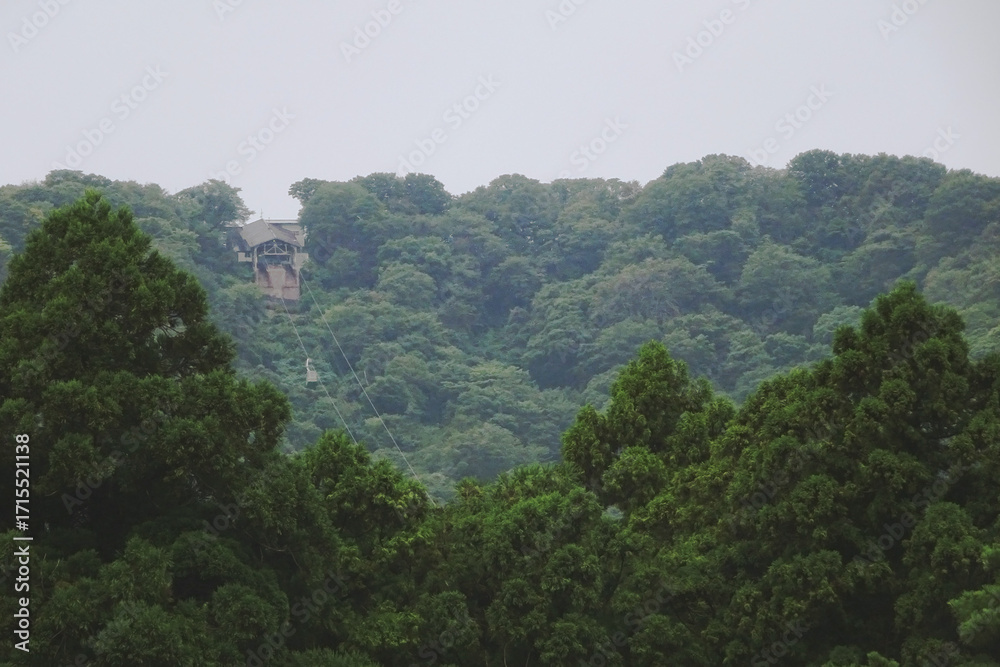 Fototapeta premium 弥彦神社から奥宮へ上がる弥彦山ロープウェイ【日本の神社100選】新潟県弥彦村