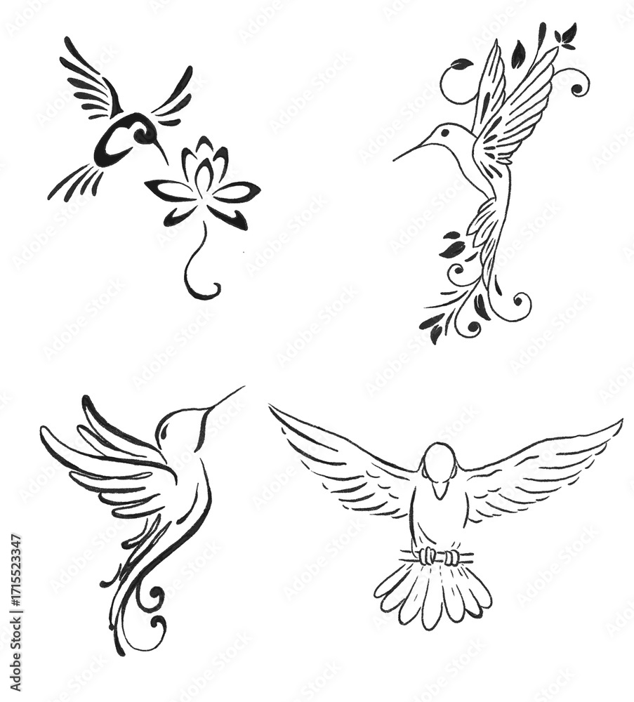 Obraz premium brids drawing illustrations design for templates.