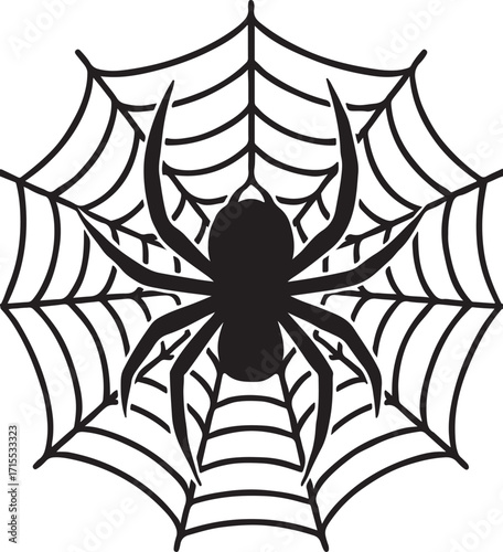  Giant spider on web