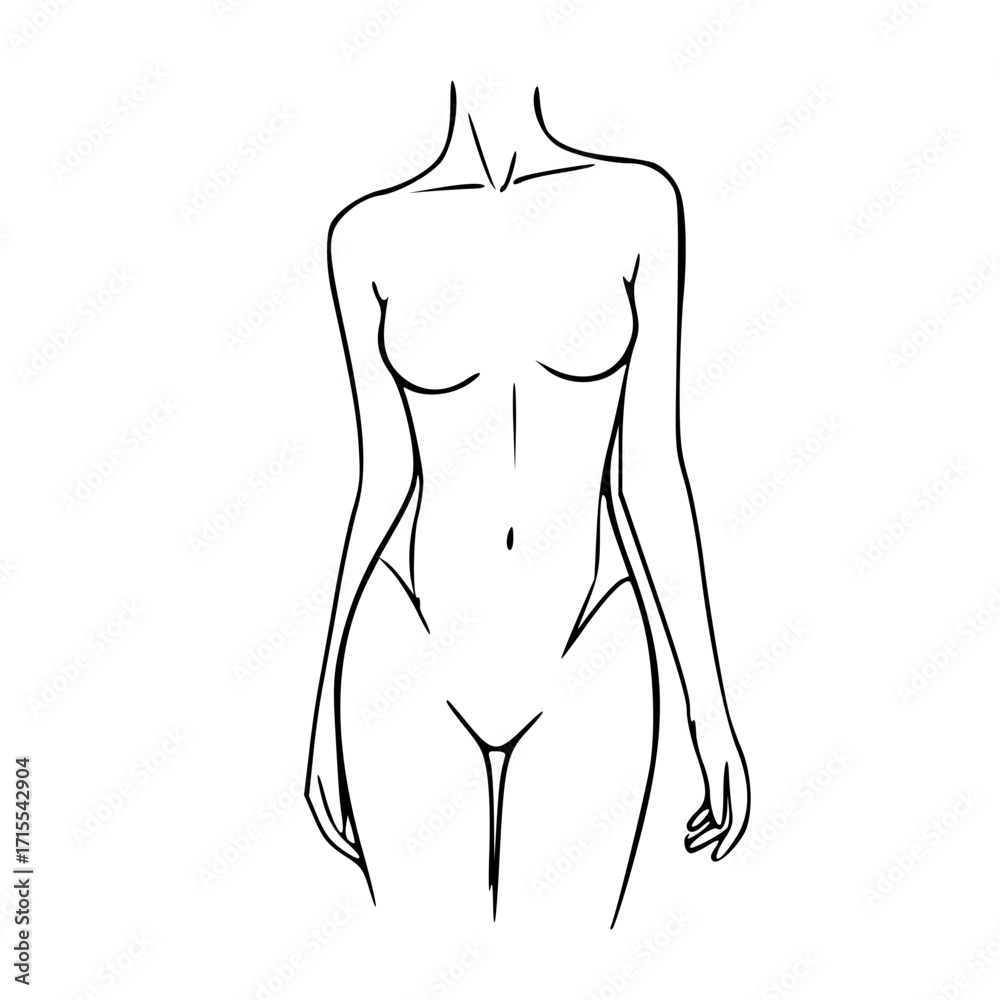 Naklejka premium Line drawing of a woman's torso, depicting the upper body, waist, and hips in a minimalist style.