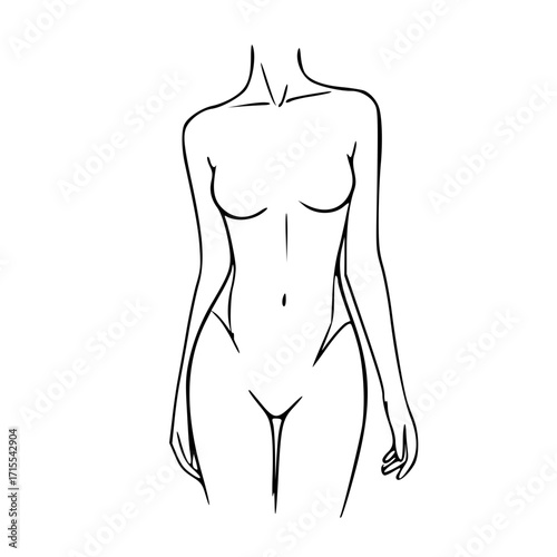 Line drawing of a woman's torso, depicting the upper body, waist, and hips in a minimalist style.