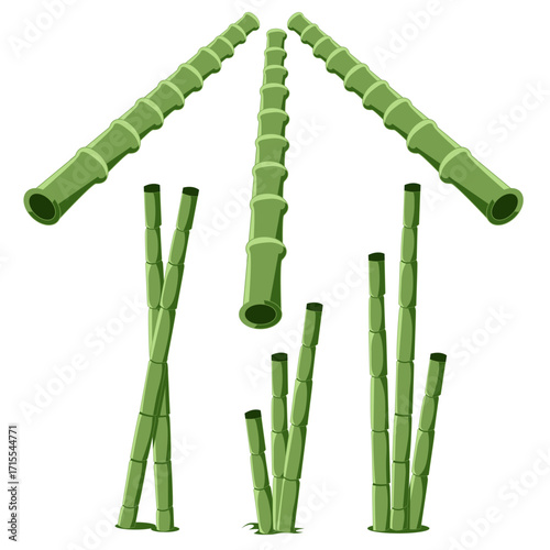 Collection element adorable of bamboo stalks elements with hand-drawn