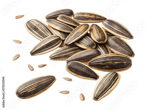 Black and white striped sunflower seeds scattered isolated on transparent background
