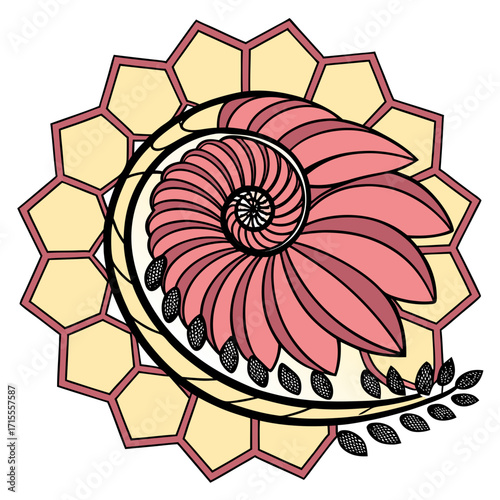 A stylized pink nautilus shell unfurls in a circular mandala pattern with a hexagonal border and delicate leaf accents representing nature and symmetry