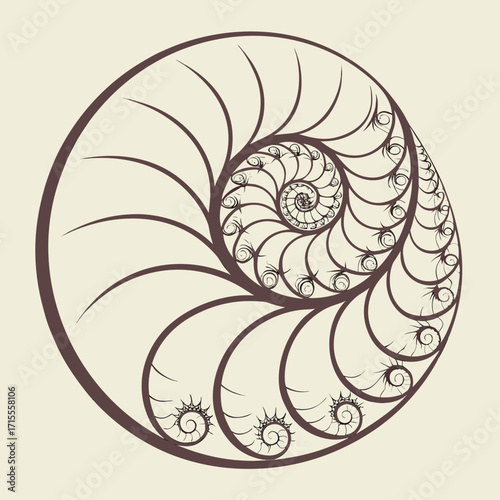 Elegant brown spiral pattern resembling a nautilus shell or fibonacci sequence on a light cream background