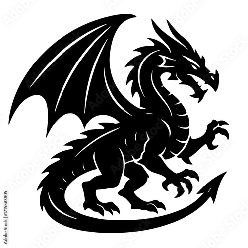black and white dragon