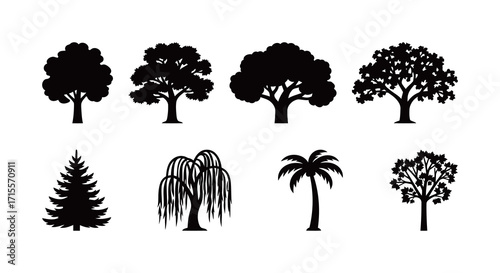 Set of various tree silhouettes, including fir, palm, and willow trees. Black and white vector icons isolated on white background.