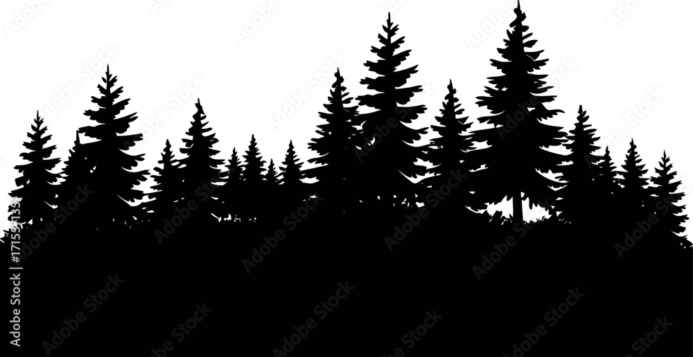 Fototapeta premium Silhouette of dense pine forest landscape at dawn vector