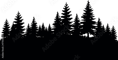 Silhouette of dense pine forest landscape at dawn vector