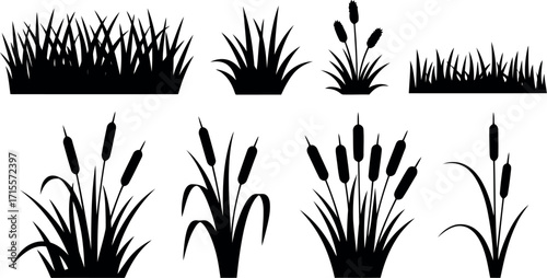 Nature silhouette collection diverse reeds grasses vector pack nature elements graphic design assets vector