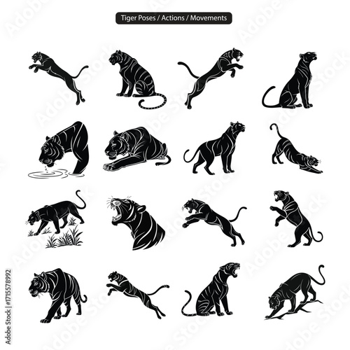 Vector collection of silhouette illustrations depicting a tiger in various poses, actions, and movements, showcasing its agility and power