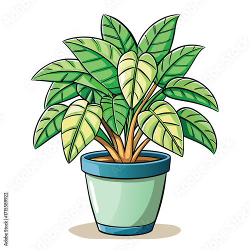 Lush green potted plant with broad leaves and brown stems green leaves houseplant