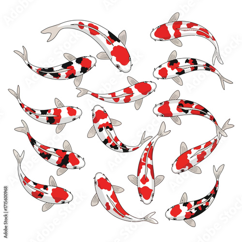 Koi Fish Pond Red and White Koi Carp Asian Fish Aquatic Life Japanese Carp Colorful Fish Illustration Graphic Design Stock Image