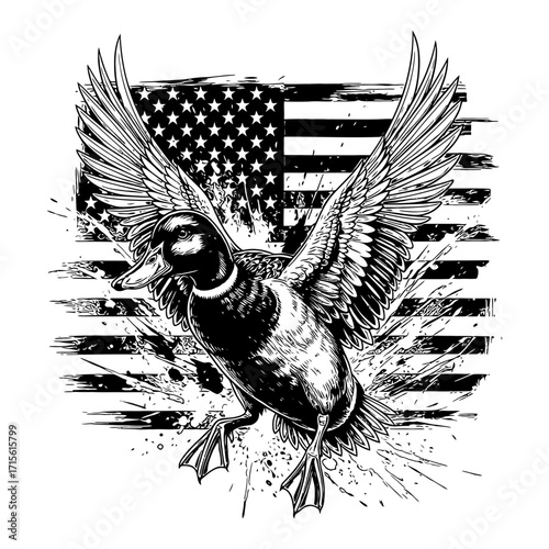 Tableau sur toile Flying mallard duck on patriotic USA flag background, black and white sketch