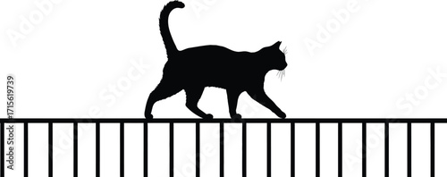 Black cat silhouette walking on a fence, domestic animal, feline pet